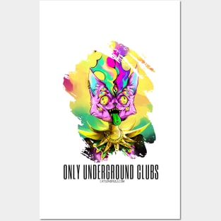 Techno cat - Only underground clubs - Catsondrugs.com - rave, edm, festival, techno, trippy, music, 90s rave, psychedelic, party, trance, rave music, rave krispies, rave flyer Posters and Art